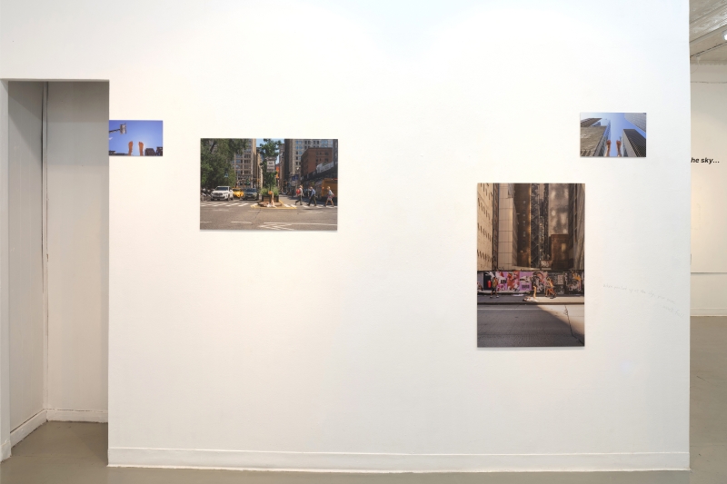 《 If I could stand in the sky... 》王俞晴紐約個展計畫 ｜王俞晴｜國藝會補助成果檔案庫